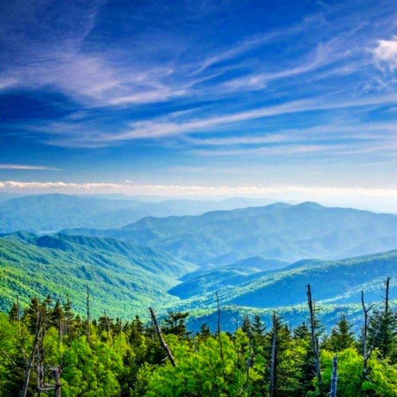 Meet your Posher, Stephanie - Picture 6 of 10